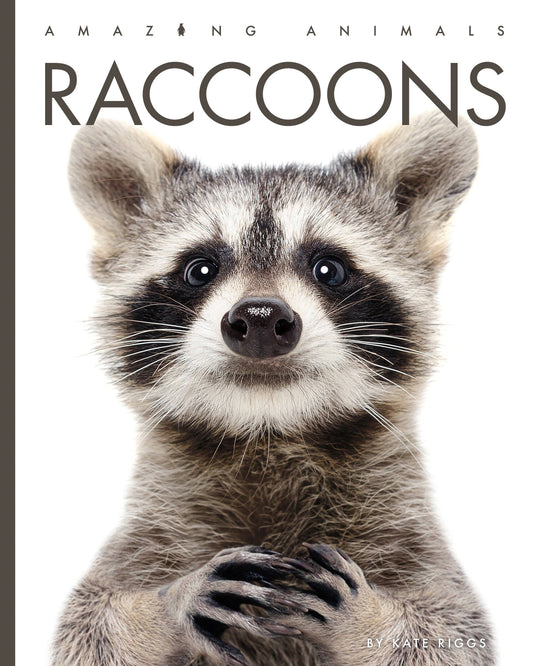 Raccoons: Paperback