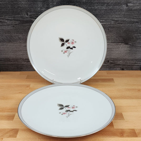Noritake Grayson 5697 Set of 2 Dinner Plates Japan Dinnerware Tableware 10.5