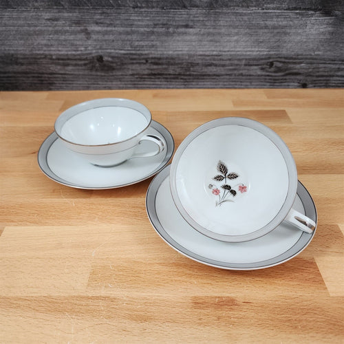 Noritake Grayson 5697 Set of 2 Flat Cup & Saucer Japan Dinnerware