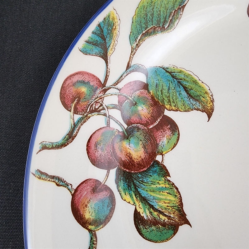 Load image into Gallery viewer, Macintosh by Pier 1 Dinner Plate 10 1/4&quot; Fruits with Blue Trim Dishware
