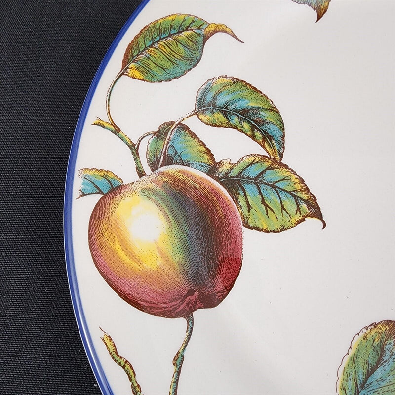 Load image into Gallery viewer, Macintosh by Pier 1 Dinner Plate 10 1/4&quot; Fruits with Blue Trim Dishware
