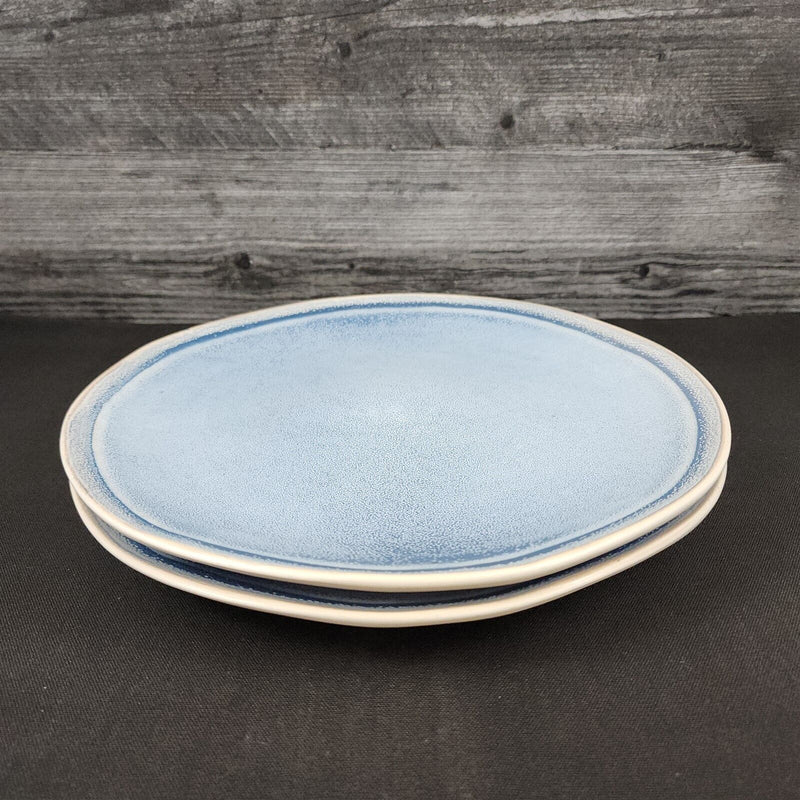 Load image into Gallery viewer, Pier 1 Imports Shoreline Blue Dinner Plate Set of 2 Stoneware Dishware Tableware
