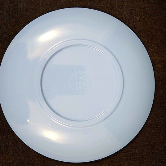 Melamine Plate Fish Pattern Blue Green Orange Set of 4 Coastal Dinner Dish 9"