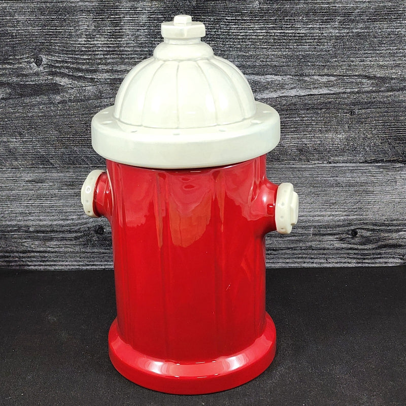 Load image into Gallery viewer, Fire Hydrant Treats Cookie Canister Ceramic Pet Dog Cat Snack Jar Red Blue Sky
