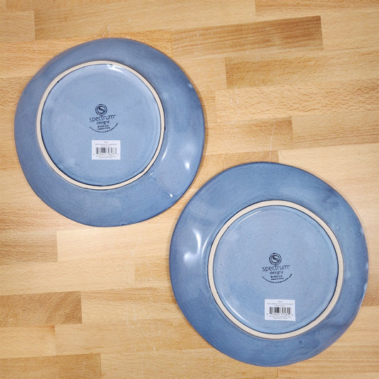 Tide of Tranquility Starfish Sea Turtle Plate Set Ceramic 8" Nautical Blue Sky