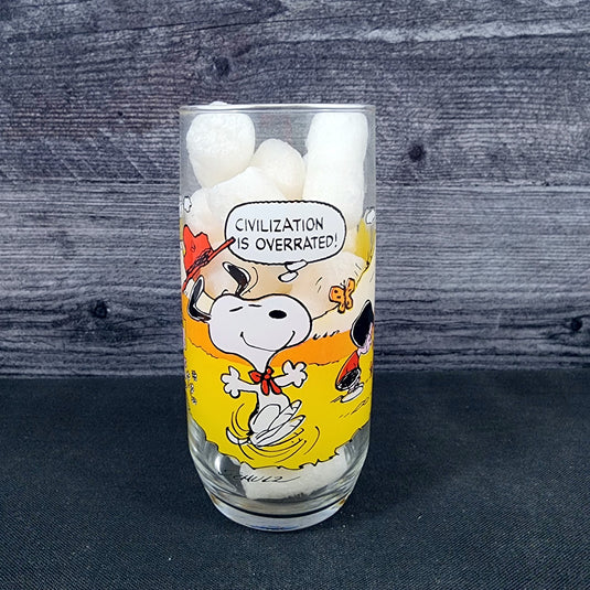 Peanuts Snoopy McDonalds Drinking Glass Vintage Schultz Cartoon Tumbler 1968