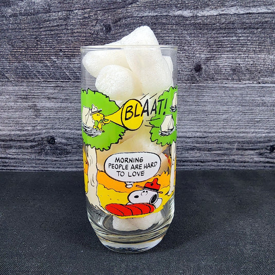 Peanuts Camp Snoopy McDonalds Drinking Glass Vintage Schultz Cartoon Tumbler