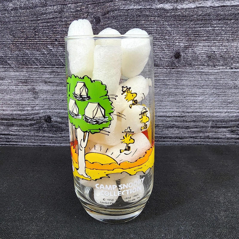 Load image into Gallery viewer, Peanuts Camp Snoopy McDonalds Drinking Glass Vintage Schultz Cartoon Tumbler
