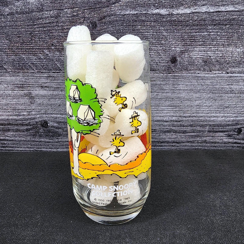 Load image into Gallery viewer, Peanuts Camp Snoopy McDonalds Drinking Glass Vintage Schultz Cartoon Tumbler
