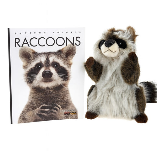 Raccoon Hand Puppet & Book Set Animal Educational Reading Imaginative Play Hansa