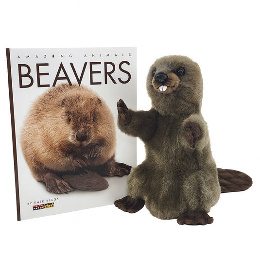 Beaver Hand Puppet & Book Set Animal Educational Reading Imaginative Play Hansa