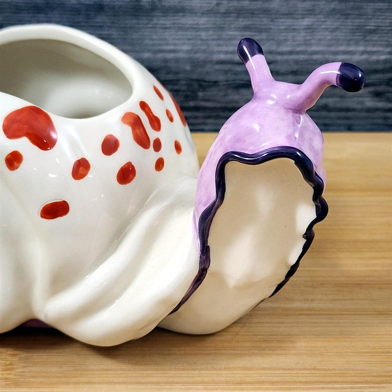 Load image into Gallery viewer, Snail Planter Succulent Plant Pot Holder White Ceramic Blue Sky Goldminc
