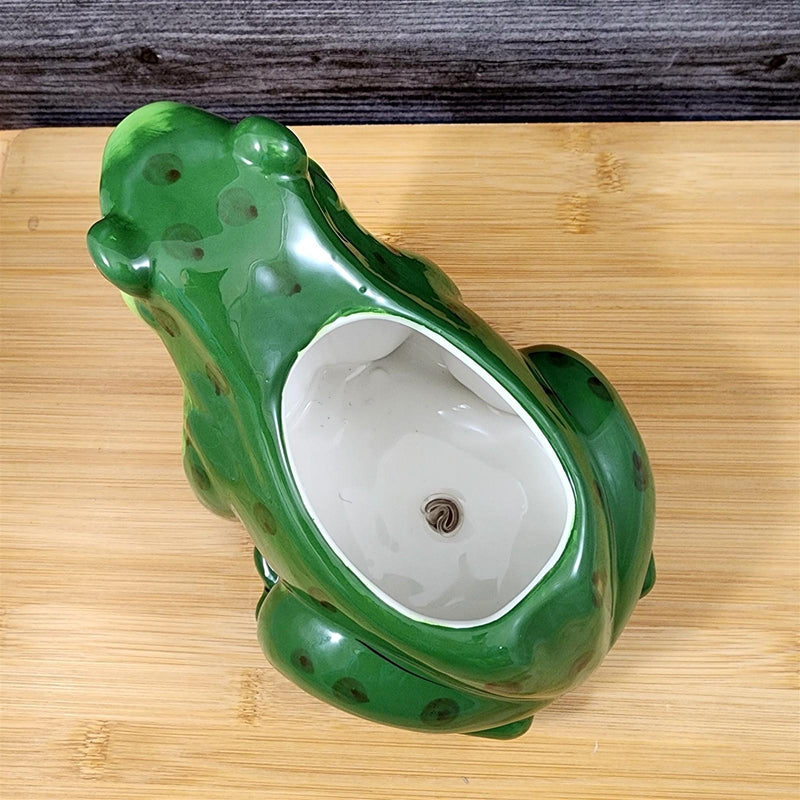 Load image into Gallery viewer, Frog Planter Succulent Plant Pot Holder Green Ceramic Blue Sky

