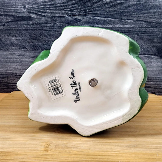 Frog Planter Succulent Plant Pot Holder Green Ceramic Blue Sky
