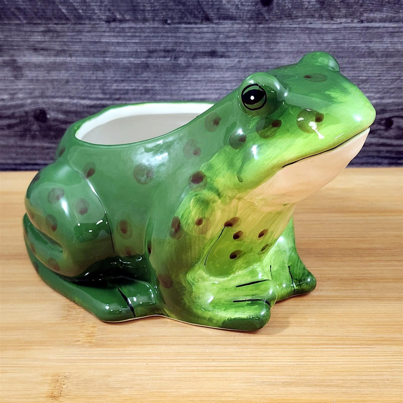 Load image into Gallery viewer, Frog Planter Succulent Plant Pot Holder Green Ceramic Blue Sky
