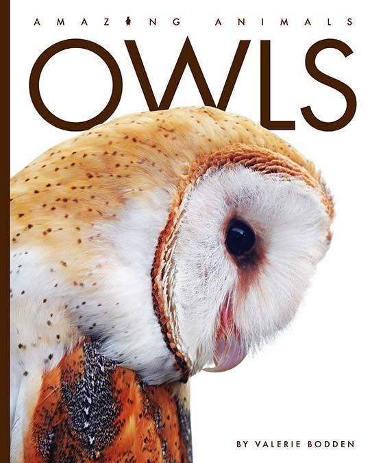 Load image into Gallery viewer, Amazing Animals: Owls: Paperback
