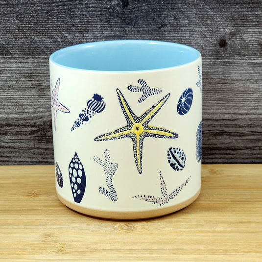 Star Fish Coral Shells Planter Ceramic Utensil Organizer Succulent Blue Sky 5in