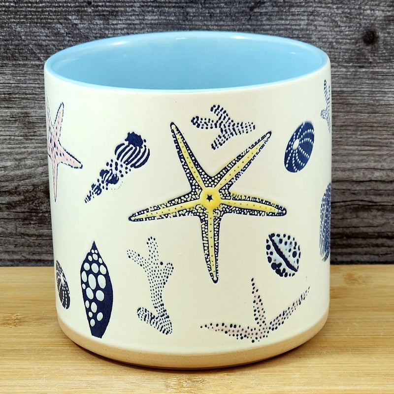 Load image into Gallery viewer, Star Fish Coral Shells Planter Ceramic Utensil Organizer Succulent Blue Sky 5in
