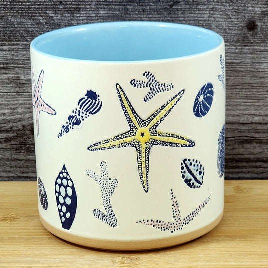 Star Fish Coral Shells Planter Ceramic Utensil Organizer Succulent Blue Sky 5in