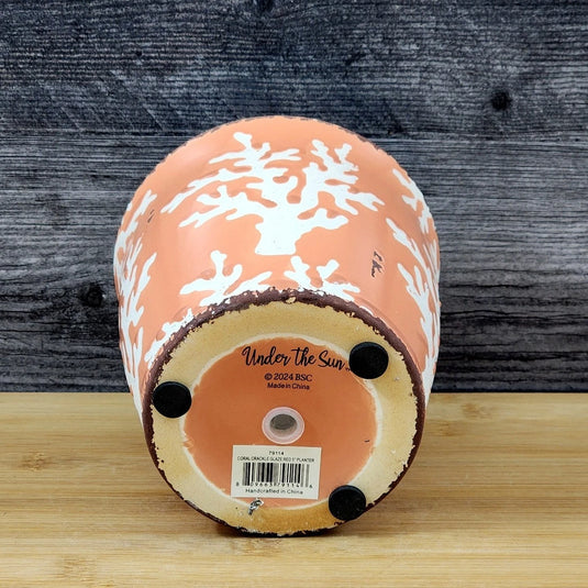 Coral Crackle Planter Ceramic Utensil Organizer Herb Succulent Pot Blue Sky 5in