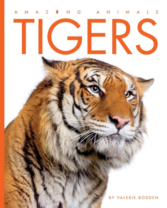 Amazing Animals: Tigers: Paperback