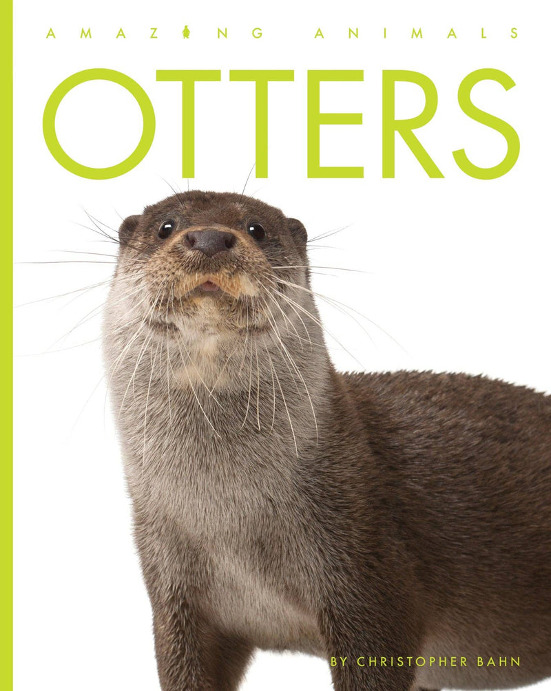 Load image into Gallery viewer, Otters: Paperback
