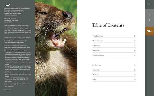 Otters: Paperback