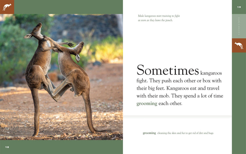 Load image into Gallery viewer, Amazing Animals: Kangaroos: Paperback
