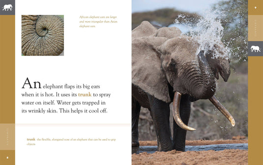 Elephant Hand Puppet Book Set Animal Educational Reading Imaginative Play Hansa