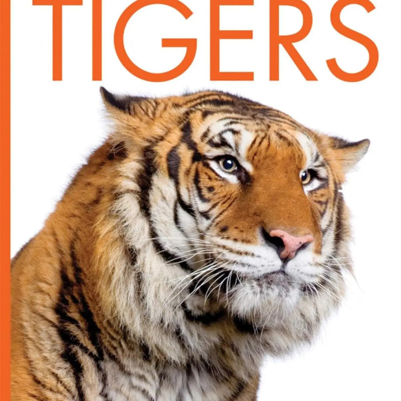 Load image into Gallery viewer, Tiger Hand Puppet &amp; Book Set Animal Educational Reading Imaginative Play Hansa
