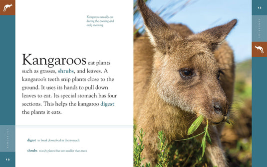 Amazing Animals: Kangaroos: Paperback