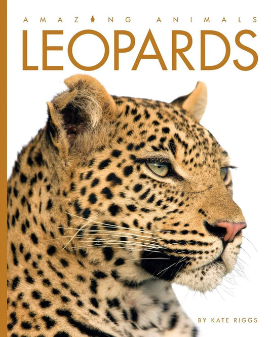 Amazing Animals: Leopards: Paperback