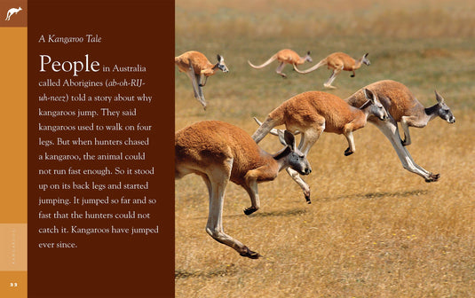 Kangaroo Hand Puppet Book Set Animal Educational Reading Imaginative Play Hansa