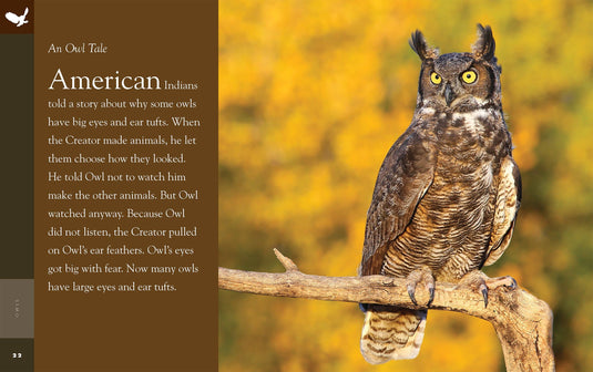 Owl Hand Puppet and Book Set Animal Educational Reading Imaginative Play Hansa