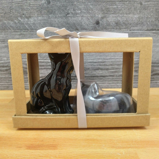 Black Cat Salt Pepper Set Collectible by Blue Sky Clayworks