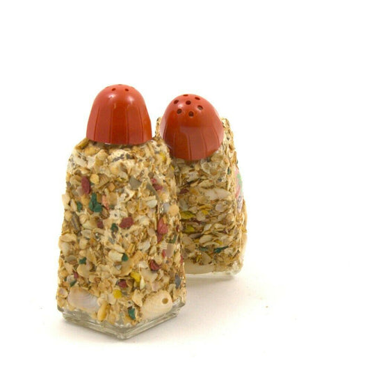 Vintage Florida Salt and Pepper Shakers Decorated with Shells