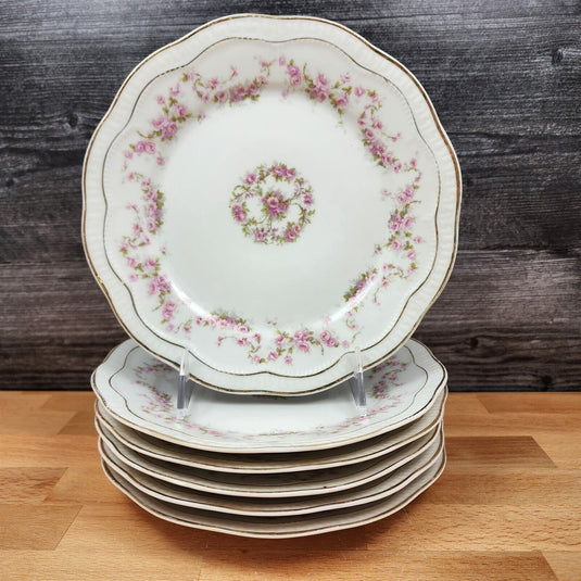 ZSC41 Salad Plates Set of 6 Scalloped, Pink Roses White ZS & Co Scherzer