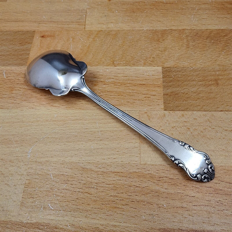 Load image into Gallery viewer, Sugar Spoon Avalon Silverplate 1901 by Oneida Flatware 6&quot; (15cm)
