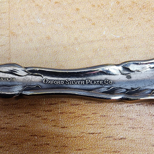 Narcissus by Oneida Silver 1908 Flat Twisted Handle Master Butter Knife flatware