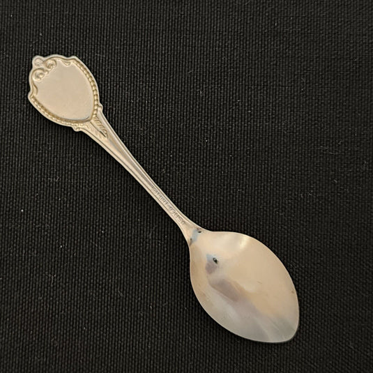 Charlotte North Carolina State Collector Souvenir Spoon 3.5 in