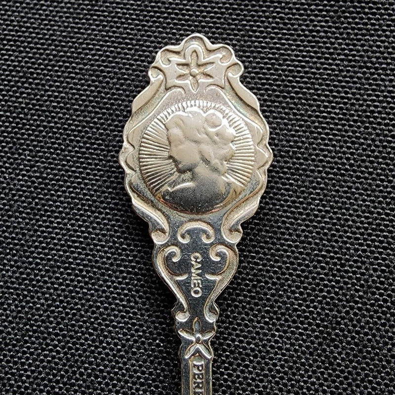 Load image into Gallery viewer, St Martin Collector Souvenir Spoon 4.5&quot; (11cm) St Maartin with Cardinal
