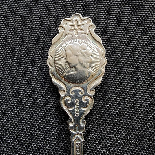 St Martin Collector Souvenir Spoon 4.5" (11cm) St Maartin with Cardinal