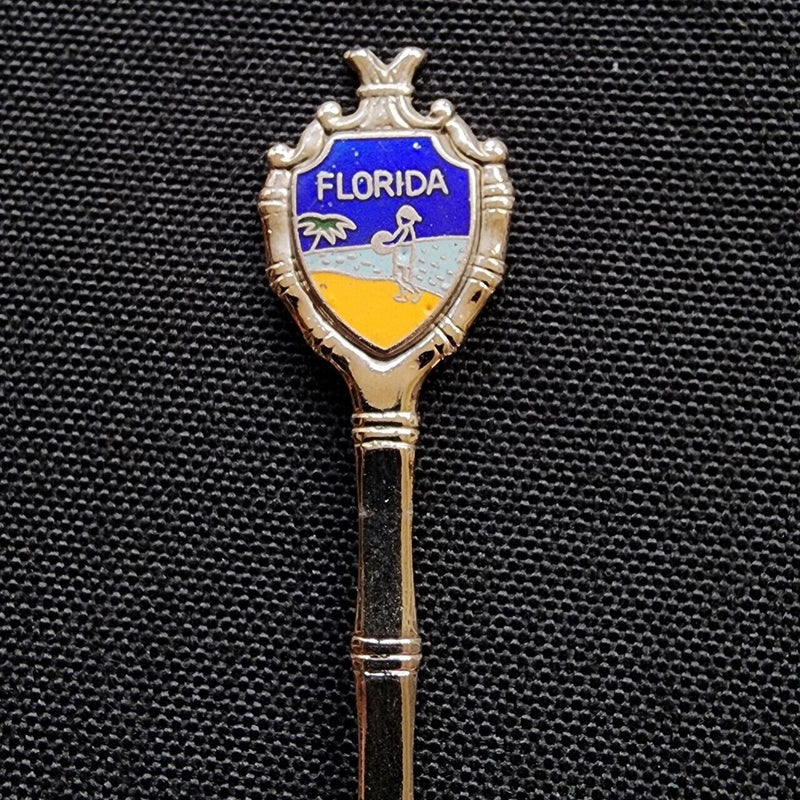 Load image into Gallery viewer, Florida State Collector Souvenir Spoon 5&quot; (12cm)
