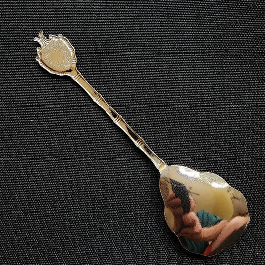 Florida State Collector Souvenir Spoon 5" (12cm)