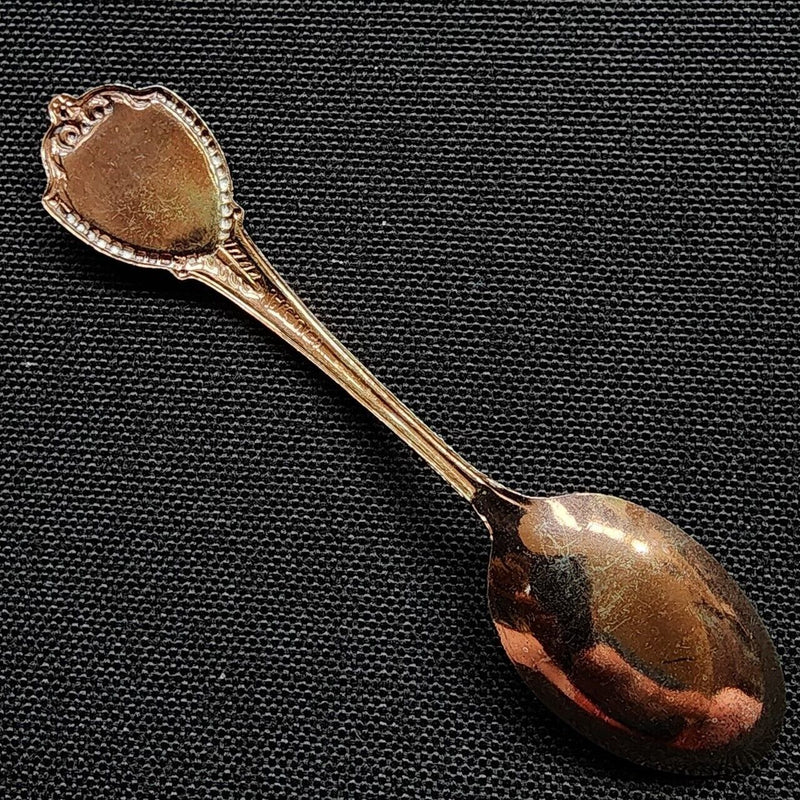 Load image into Gallery viewer, Arizona State Collector Souvenir Spoon 3.5&quot; (8cm) with Cactus
