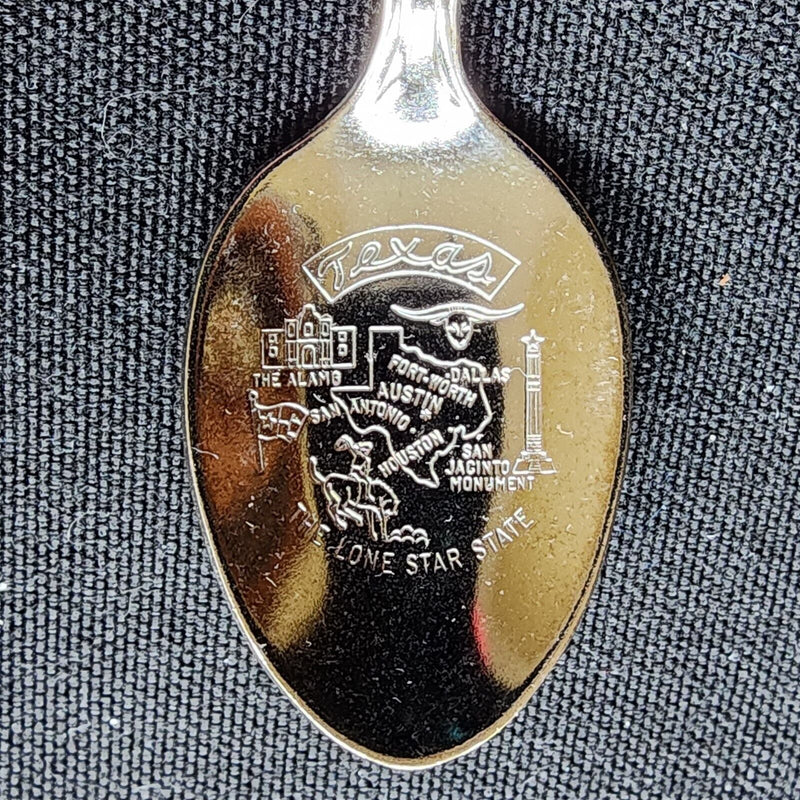 Load image into Gallery viewer, South Carolina the Tar Heel State Collector Souvenir Spoon 4.5&quot; (11cm)
