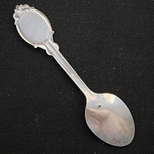 South Carolina the Tar Heel State Collector Souvenir Spoon 4.5" (11cm)