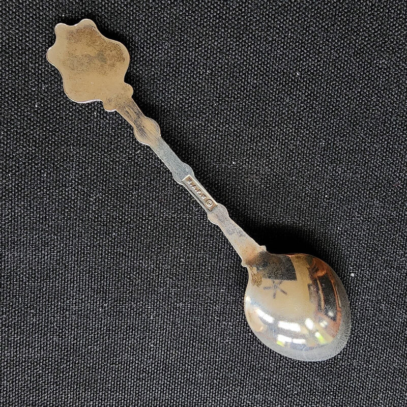 Load image into Gallery viewer, MS Nordic Prince Cruise Ship Collector Souvenir Spoon 4.5&quot; (11cm)
