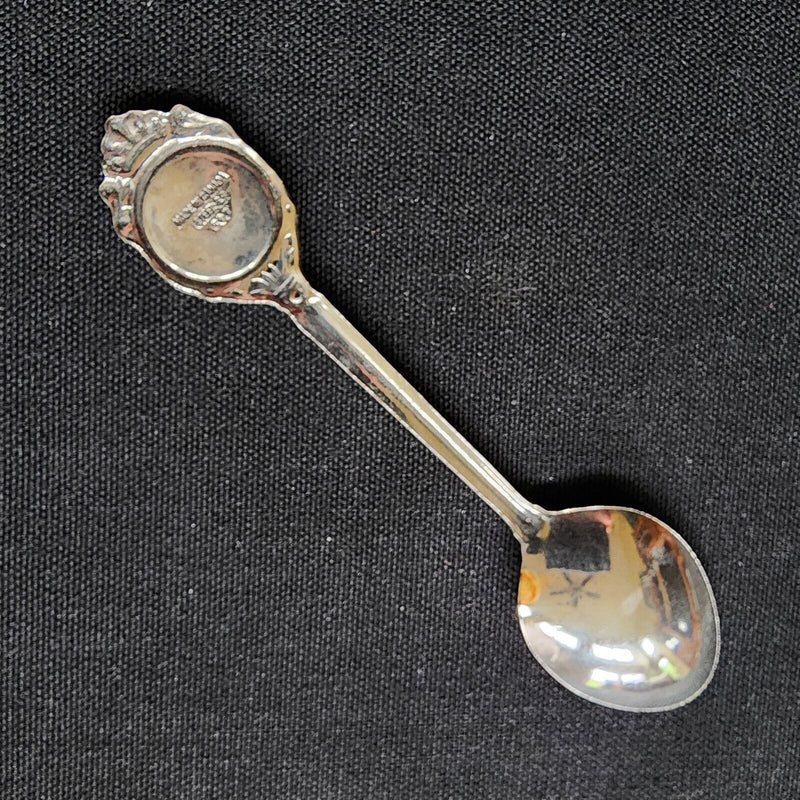 Load image into Gallery viewer, Niagara Falls Canada Collector Souvenir Spoon 4.5&quot; (11cm)
