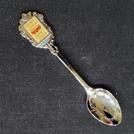 Columbia Icefields Jasper Alberta Canada Collector Souvenir Spoon 4.5" (11cm)